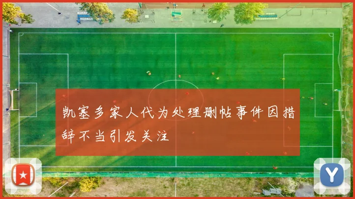 凯塞多家人代为处理删帖事件因措辞不当引发关注